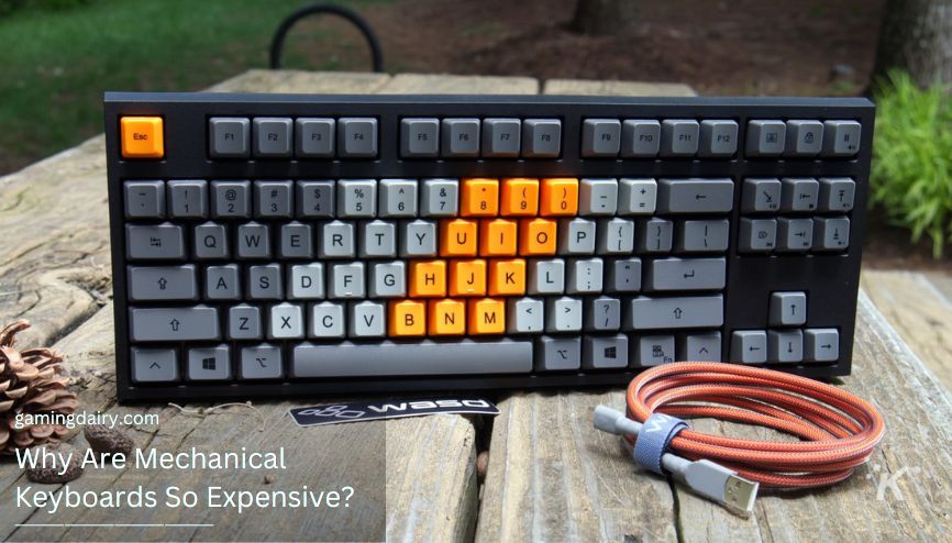 Why Are Mechanical Keyboards So Expensive? Explained