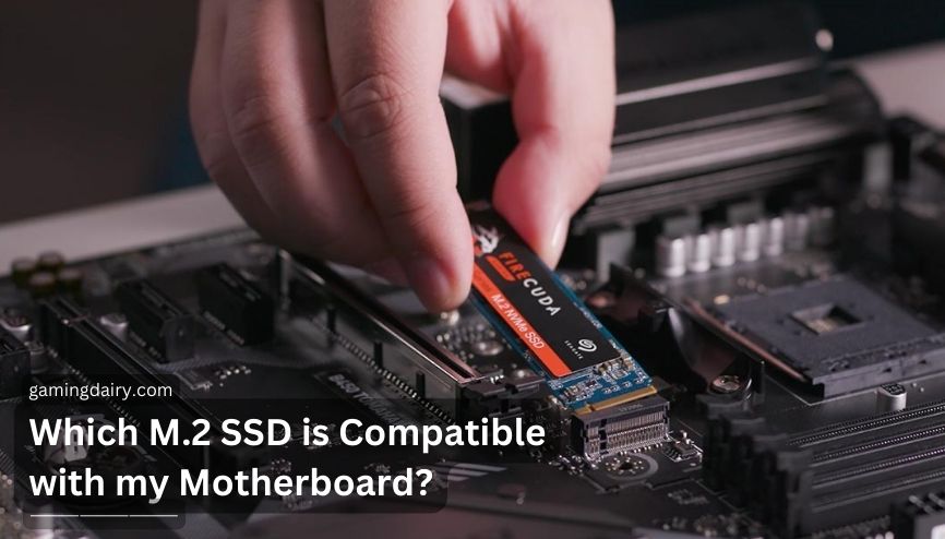 Which M.2 SSD is Compatible with my Motherboard?